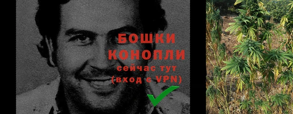 ГАЛЛЮЦИНОГЕННЫЕ ГРИБЫ Лихославль