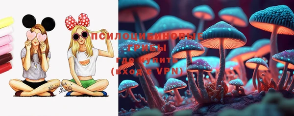 ГАЛЛЮЦИНОГЕННЫЕ ГРИБЫ Лихославль